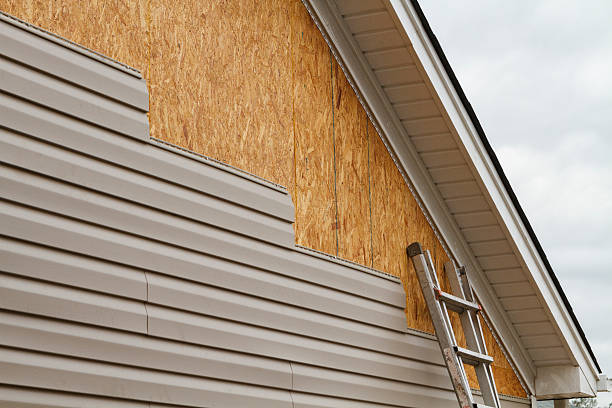 Professional Siding Repair technician working in Williamsburg, KY